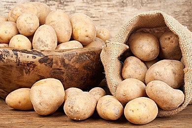 《最终幻想：起源》角色介绍 小公主米雅体恤民众